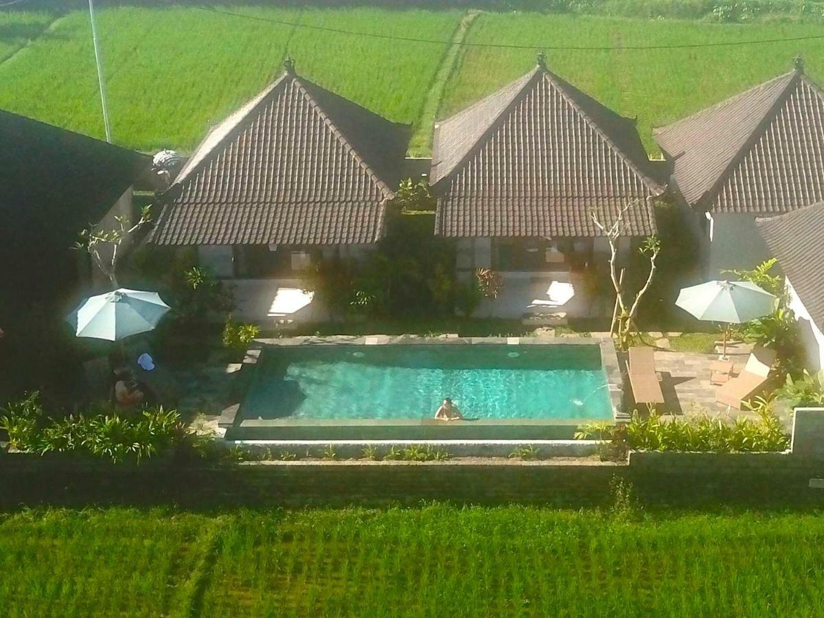 Paraiso Cottage Ubud Exterior photo